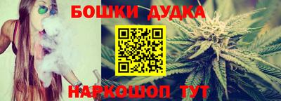 шишки Будённовск