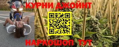 шишки Будённовск