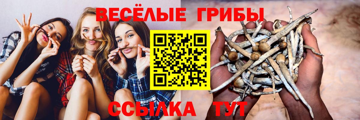 Орехово-Зуево  Галлюциногенные грибы MAGIC MUSHROOMS  Галлюциногенные грибы GOLDEN TEACHER  Вход с VPN 